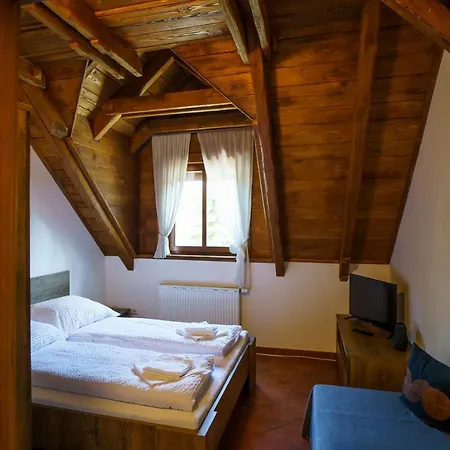 Bilek Guest house *